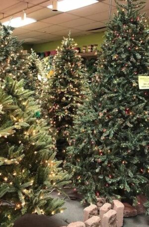 Bulk Christmas Tree Sales | Christmas Tree Liquidation Sale